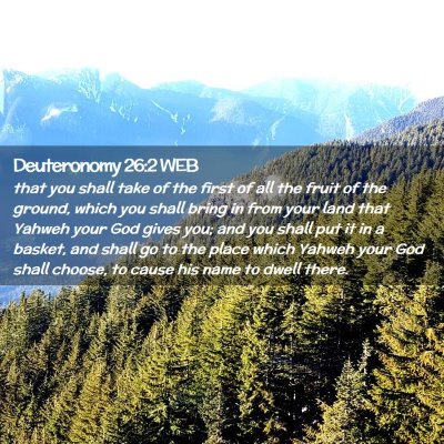 Picture 02 - Deuteronomy 26:2 WEB - that you shall take of the first of all the fruit - Bible Verse Picture