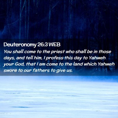Picture 02 - Deuteronomy 26:3 WEB - You shall come to the priest who shall be in - Bible Verse Picture