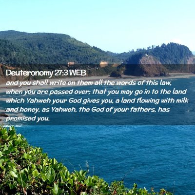 Picture 02 - Deuteronomy 27:3 WEB - and you shall write on them all the words of this - Bible Verse Picture
