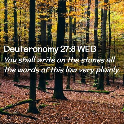 Picture 02 - Deuteronomy 27:8 WEB - You shall write on the stones all the words of - Bible Verse Picture