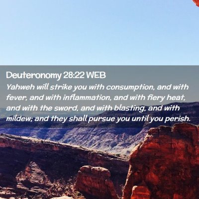 Picture 02 - Deuteronomy 28:22 WEB - Yahweh will strike you with consumption, and with - Bible Verse Picture