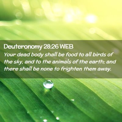 Picture 02 - Deuteronomy 28:26 WEB - Your dead body shall be food to all birds of the - Bible Verse Picture