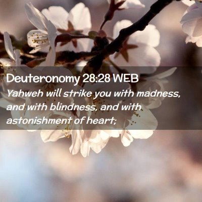 Picture 02 - Deuteronomy 28:28 WEB - Yahweh will strike you with madness, and with - Bible Verse Picture