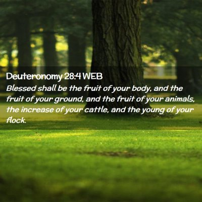 Picture 02 - Deuteronomy 28:4 WEB - Blessed shall be the fruit of your body, and the - Bible Verse Picture