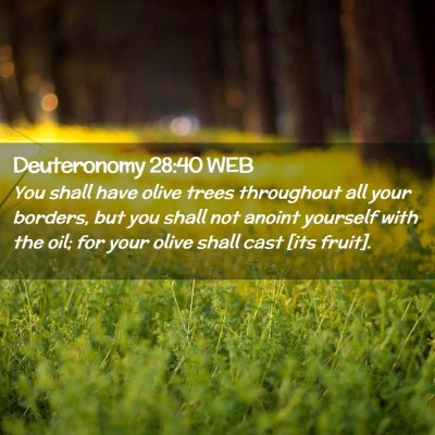 Picture 02 - Deuteronomy 28:40 WEB - You shall have olive trees throughout all your - Bible Verse Picture