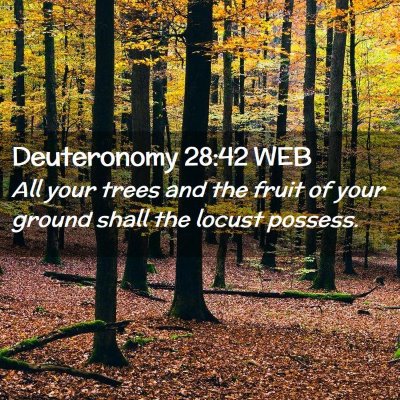 Picture 02 - Deuteronomy 28:42 WEB - All your trees and the fruit of your ground shall - Bible Verse Picture