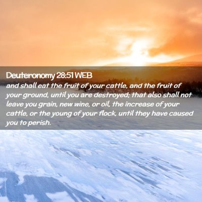 Picture 02 - Deuteronomy 28:51 WEB - and shall eat the fruit of your cattle, and the - Bible Verse Picture