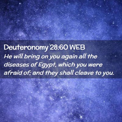 Picture 02 - Deuteronomy 28:60 WEB - He will bring on you again all the diseases of - Bible Verse Picture