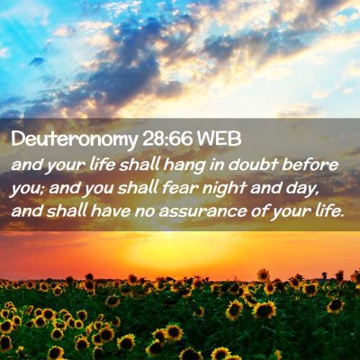 Picture 02 - Deuteronomy 28:66 WEB - and your life shall hang in doubt before you; and - Bible Verse Picture