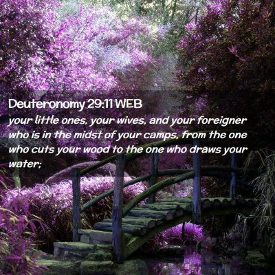 Picture 02 - Deuteronomy 29:11 WEB - your little ones, your wives, and your foreigner - Bible Verse Picture