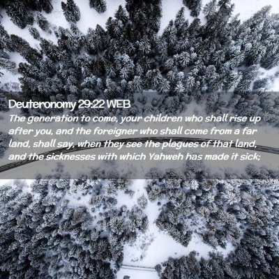 Picture 02 - Deuteronomy 29:22 WEB - The generation to come, your children who shall - Bible Verse Picture