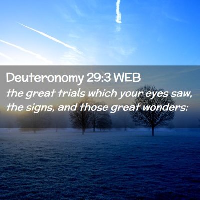 Picture 02 - Deuteronomy 29:3 WEB - the great trials which your eyes saw, the signs, - Bible Verse Picture