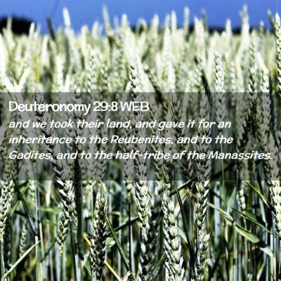 Picture 02 - Deuteronomy 29:8 WEB - and we took their land, and gave it for an - Bible Verse Picture