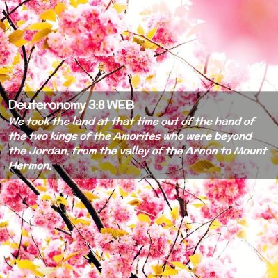 Picture 02 - Deuteronomy 3:8 WEB - We took the land at that time out of the hand of - Bible Verse Picture