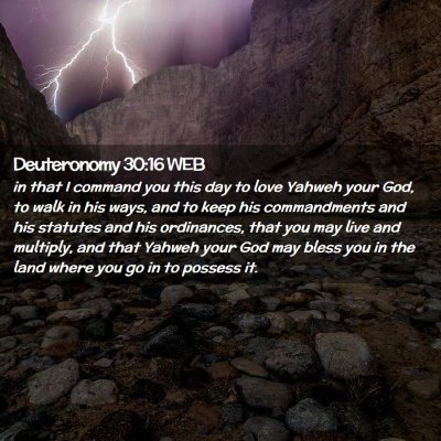Picture 02 - Deuteronomy 30:16 WEB - in that I command you this day to love Yahweh - Bible Verse Picture