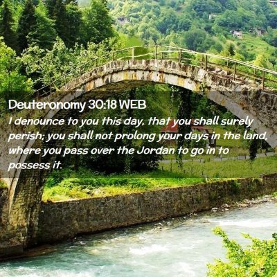 Picture 02 - Deuteronomy 30:18 WEB - I denounce to you this day, that you shall surely - Bible Verse Picture