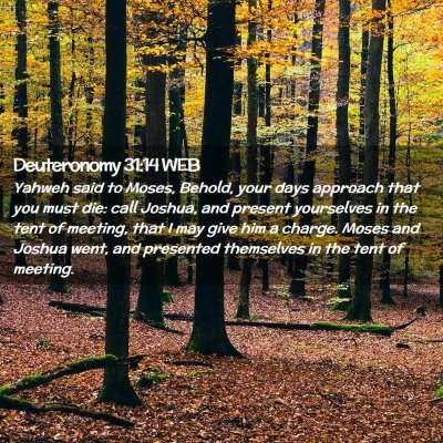 Picture 02 - Deuteronomy 31:14 WEB - Yahweh said to Moses, Behold, your days approach - Bible Verse Picture
