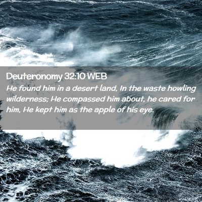 Picture 02 - Deuteronomy 32:10 WEB - He found him in a desert land, In the waste - Bible Verse Picture