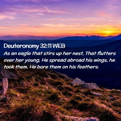 Picture 02 - Deuteronomy 32:11 WEB - As an eagle that stirs up her nest, That flutters - Bible Verse Picture