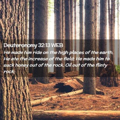 Picture 02 - Deuteronomy 32:13 WEB - He made him ride on the high places of the earth, - Bible Verse Picture