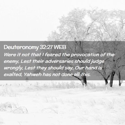 Picture 02 - Deuteronomy 32:27 WEB - Were it not that I feared the provocation of the - Bible Verse Picture