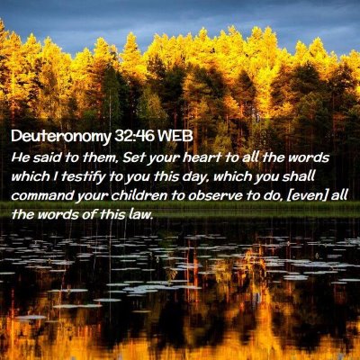 Picture 02 - Deuteronomy 32:46 WEB - He said to them, Set your heart to all the words - Bible Verse Picture