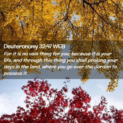 Picture 02 - Deuteronomy 32:47 WEB - For it is no vain thing for you; because it is - Bible Verse Picture