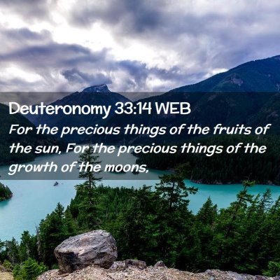 Picture 02 - Deuteronomy 33:14 WEB - For the precious things of the fruits of the sun, - Bible Verse Picture