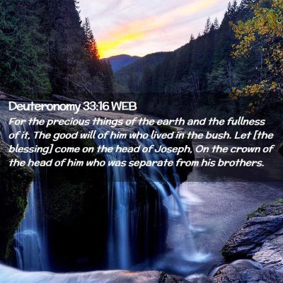 Picture 02 - Deuteronomy 33:16 WEB - For the precious things of the earth and the - Bible Verse Picture