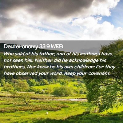 Picture 02 - Deuteronomy 33:9 WEB - Who said of his father, and of his mother, I have - Bible Verse Picture