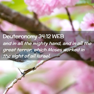 Picture 02 - Deuteronomy 34:12 WEB - and in all the mighty hand, and in all the great - Bible Verse Picture