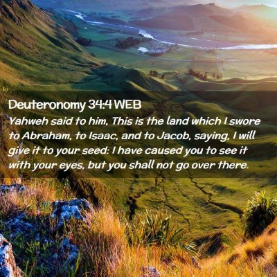 Picture 02 - Deuteronomy 34:4 WEB - Yahweh said to him, This is the land which I - Bible Verse Picture