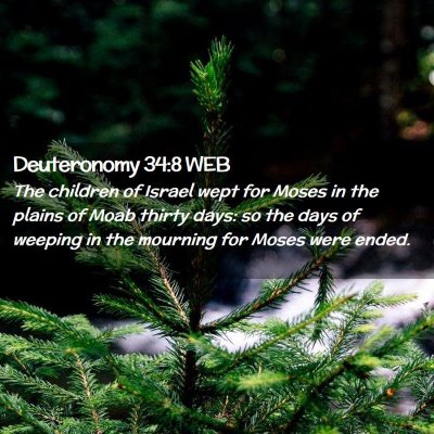 Picture 02 - Deuteronomy 34:8 WEB - The children of Israel wept for Moses in the - Bible Verse Picture