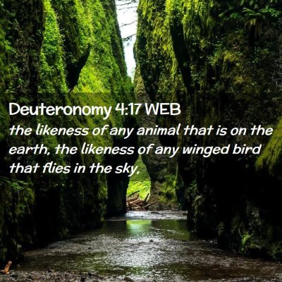 Picture 02 - Deuteronomy 4:17 WEB - the likeness of any animal that is on the earth, - Bible Verse Picture