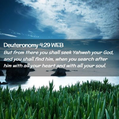 Picture 02 - Deuteronomy 4:29 WEB - But from there you shall seek Yahweh your God, - Bible Verse Picture