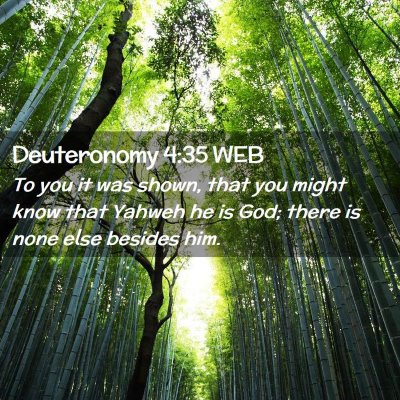 Picture 02 - Deuteronomy 4:35 WEB - To you it was shown, that you might know that - Bible Verse Picture