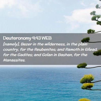 Picture 02 - Deuteronomy 4:43 WEB - [namely], Bezer in the wilderness, in the plain - Bible Verse Picture