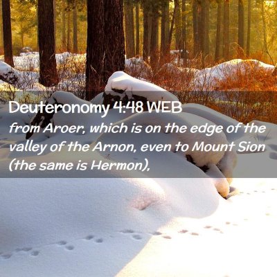 Picture 02 - Deuteronomy 4:48 WEB - from Aroer, which is on the edge of the valley of - Bible Verse Picture