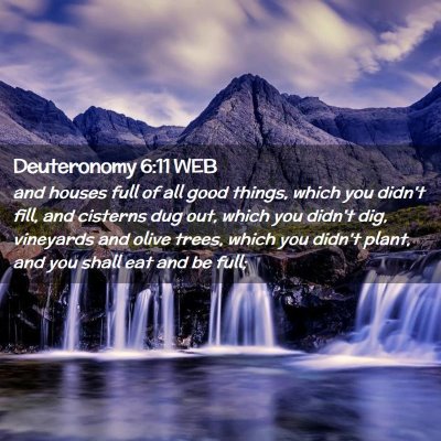 Picture 02 - Deuteronomy 6:11 WEB - and houses full of all good things, which you - Bible Verse Picture