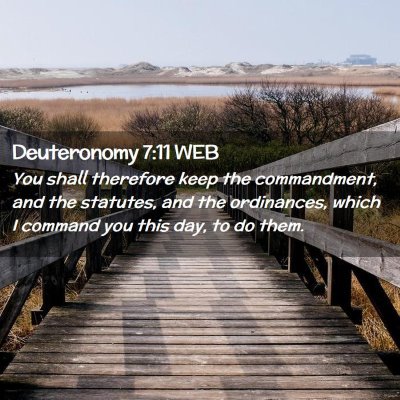 Picture 02 - Deuteronomy 7:11 WEB - You shall therefore keep the commandment, and the - Bible Verse Picture