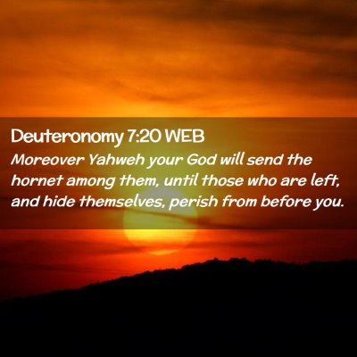 Picture 02 - Deuteronomy 7:20 WEB - Moreover Yahweh your God will send the hornet - Bible Verse Picture
