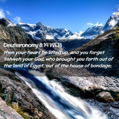 Picture 02 - Deuteronomy 8:14 WEB - then your heart be lifted up, and you forget - Bible Verse Picture