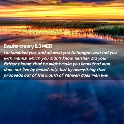 Picture 02 - Deuteronomy 8:3 WEB - He humbled you, and allowed you to hunger, and - Bible Verse Picture