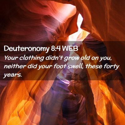 Picture 02 - Deuteronomy 8:4 WEB - Your clothing didn't grow old on you, neither did - Bible Verse Picture