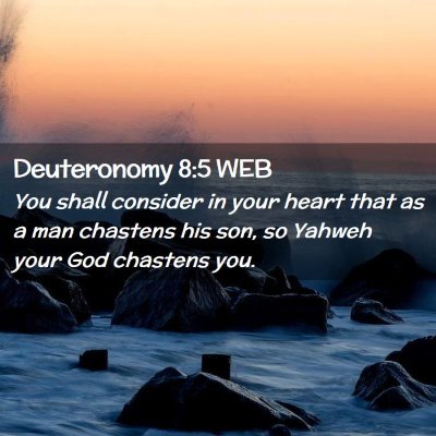 Picture 02 - Deuteronomy 8:5 WEB - You shall consider in your heart that as a man - Bible Verse Picture