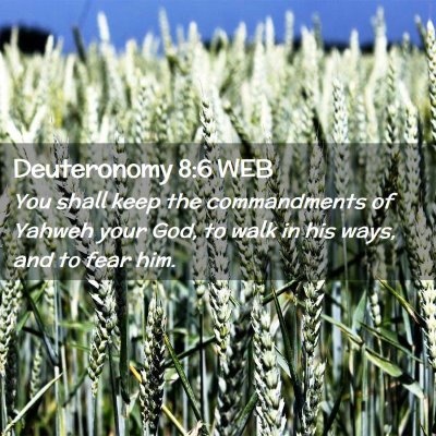 Picture 02 - Deuteronomy 8:6 WEB - You shall keep the commandments of Yahweh your - Bible Verse Picture