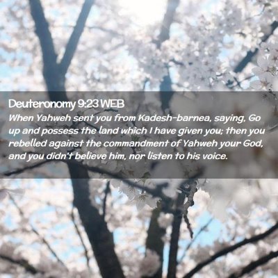 Picture 02 - Deuteronomy 9:23 WEB - When Yahweh sent you from Kadesh-barnea, saying, - Bible Verse Picture