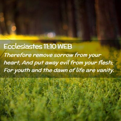 Picture 02 - Ecclesiastes 11:10 WEB - Therefore remove sorrow from your heart, And put - Bible Verse Picture