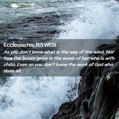 Picture 02 - Ecclesiastes 11:5 WEB - As you don't know what is the way of the wind, - Bible Verse Picture