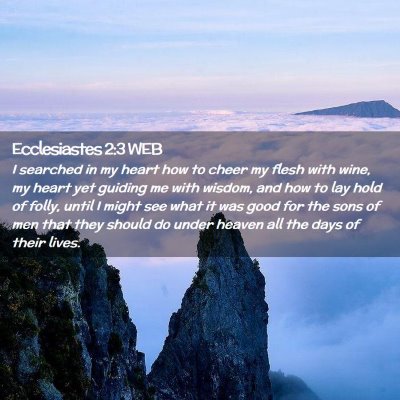 Picture 02 - Ecclesiastes 2:3 WEB - I searched in my heart how to cheer my flesh with - Bible Verse Picture